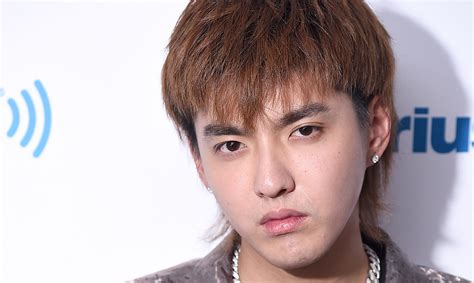 Kris Wu's 2021 Allegations: A Fall from Grace and the Complexities of Celebrity Culture?